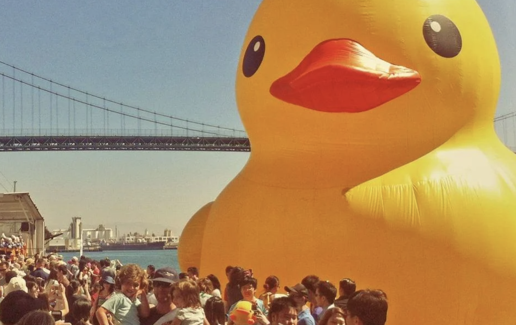 世界最大橡皮鸭本周登陆纽约